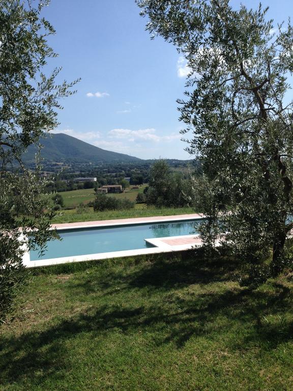 Acquasparta La Casa Nell'Oliveto Bed & Breakfast المظهر الخارجي الصورة
